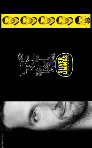 Silver Linings Playbook