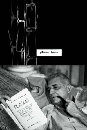 O Mestre de Apipucos