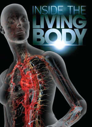 Inside the Living Body