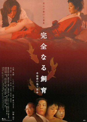 Kanzen-naru shiiku: Himitsu no chika-shitsu