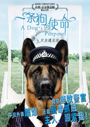 A Dog's Purpose
