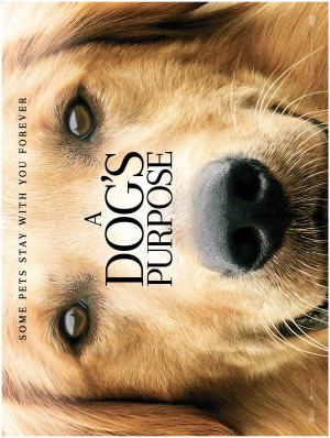 A Dog's Purpose
