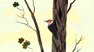 Through the Woods