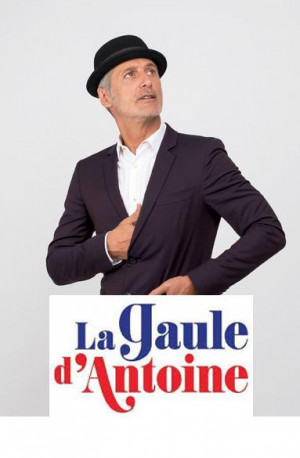 La Gaule d'Antoine