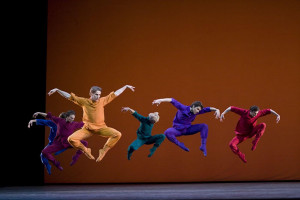 The Bolshoi Ballet: Live From Moscow - The Cage