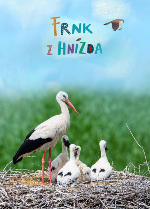 Frnk z hnizda