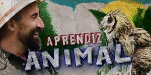 Aprendiz Animal