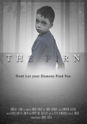 The Firn