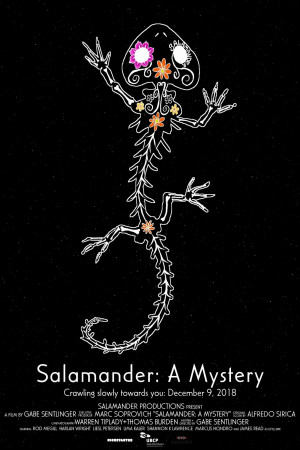 Salamander: A Mystery