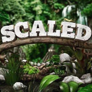 Scaled