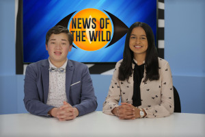 News of the Wild