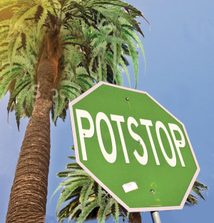 Potstop