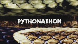 Pythonathon