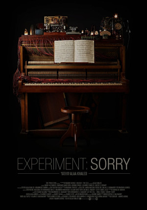 Experiment: Sorry