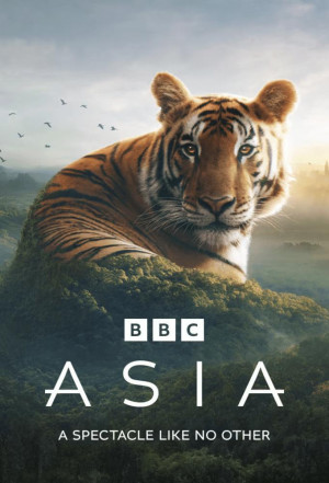 Asia TV series 2024 poster.