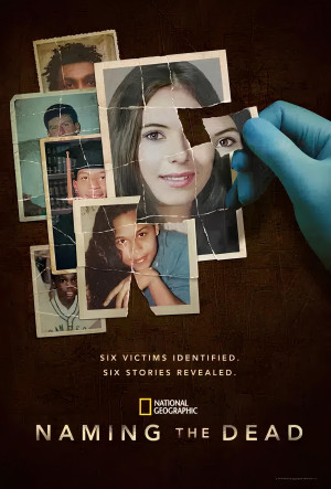 Naming the Dead TV series 2025 poster.