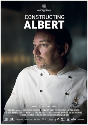 Constructing Albert