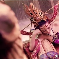Wenjing Cai