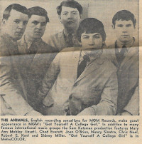 The Animals