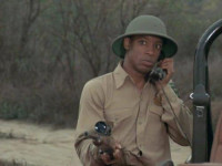 Darin Taylor