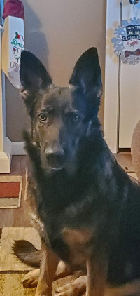 Athena