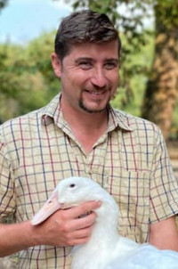 Tom Davis