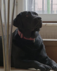 Roxy