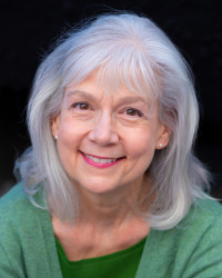 Navida Stein