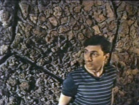Faust Mindlin