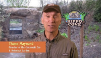 Thane Maynard