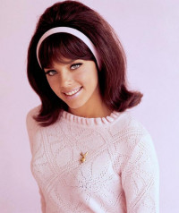 Jo Collins