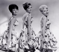 The Angels