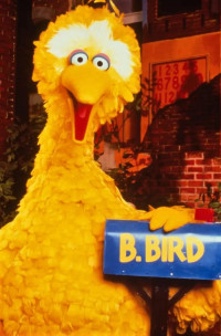 Big Bird