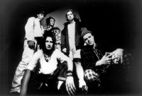 Pop Will Eat Itself