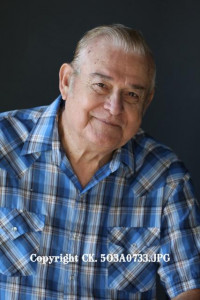 Wilton Stewart