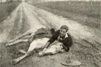 Randolph Grey