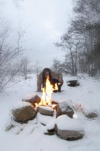 Ilkka Saari