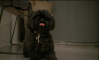 Harry