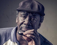 Terry Harmonica Bean
