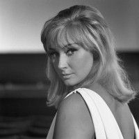 Annie Gorassini