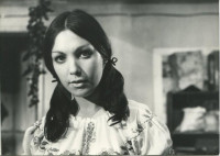 Dassi Hadari