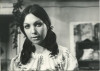 Dassi Hadari