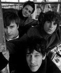 Shed Seven