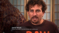 David Wolfe