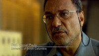Daniel Pauly