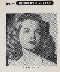 Elyse Knox