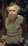 Werner Krüger