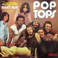 Pop Tops