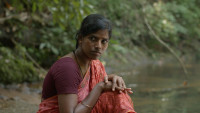 Janagi