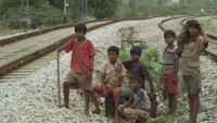 J. Vignesh